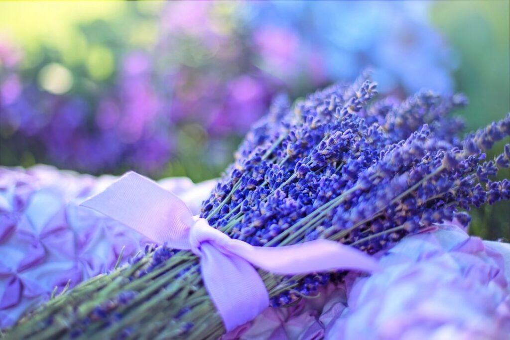 A business card with the scent of lavender builds trust - take it to a business meeting