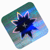 A hologram in the form of a sticker on a plastic card